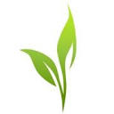 SUSANGREENE Copywriting logo